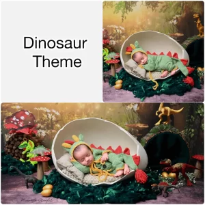 Newborn baby Photography Dinosaur Theme