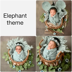 Newborn baby Photoshoot Elephant Theme