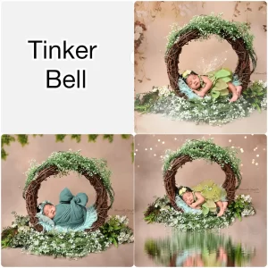Newborn baby shoot Tinker Bell theme