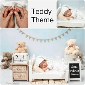 Newborn shoot Teddy Theme